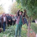 سازمان پارك ها و فضاي سبز دوره آموزش هرس درختان در فضاي سبز شهري را در پارك ائللرباغي برگزار كرد.