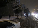 برف تكاني شبانه درختان در شهر اروميه 