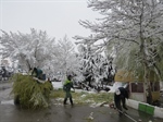 با توجه به شرایط جوی و بارش برف سنگین در آخرین روزهای سال 94پرسنل سازمان پارک ها و فضای سبز شهرداری ارومیه در تلاشی مضاعف برای آماده سازی شهر برای استقبال از نوروز95 می باشند