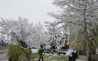 با توجه به شرایط جوی و بارش برف سنگین در آخرین روزهای سال 94پرسنل سازمان پارک ها و فضای سبز شهرداری ارومیه در تلاشی مضاعف برای آماده سازی شهر برای استقبال از نوروز95 می باشند