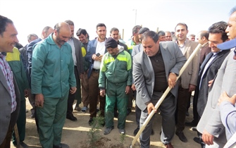 بیش از 1000 نهال سرو با حضور شهردار ارومیه و مدیر عامل سازمان پارک ها و فضای سبز  و کارکنان فضای سبز در محوطه تقا طع غیر همسطح سرو کاشته شد.  