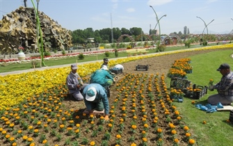مدیرعامل سازمان پارکها و فضای سبز شهرداری ارومیه از ادامه  کاشت و نوآوری در زمینه اجرای پروژه های گلکاری خبر داد