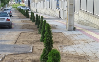 اولین تولیدات نهالستان واحد چابکسر سازمان پارک ها و فضای سبز شهرداری ارومیه در رفیوژ خیابان شورا به زمین نشست.