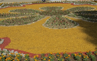 اقدامات انجام شده توسط سازمان پارک ها و فضای سبز در راستای احداث بوستان خانواده شهرداری