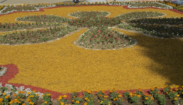 اقدامات انجام شده توسط سازمان پارک ها و فضای سبز در راستای احداث بوستان خانواده شهرداری