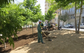 عملیات سازمان پارک ها و فضای سبز شهرداری ارومیه در راستای احداث بلوار امام رضا