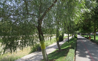 سازمان پارک ها و فضای سبز شهرداری ارومیه در راستای کاهش استفاده از سموم شیمیایی اقدام به استفاده از روش های مبارزه بیواوژیک در پارک ها و خیابان های سطح شهر نموده است.