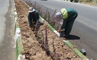 عملیات انجام شده توسط سازمان پارک ها و فضای سبز شهرداری ارومیه جهت احداث بلوار شهید طریقت