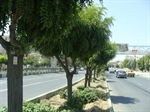 پلاک کوبی درختان شهر ارومیه با استفاده از سیستم اطلاعات جغرافیایی GIS و نقشه برداری و تثبیت موقعیت توسط دستگاه GPS 