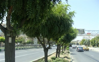 پلاک کوبی درختان شهر ارومیه با استفاده از سیستم اطلاعات جغرافیایی GIS و نقشه برداری و تثبیت موقعیت توسط دستگاه GPS 