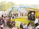 حضور مستمر و پر ثمر سازمان پارک ها و فضای سبز شهرداری ارومیه در چهارمین جشنواره انگور در دهکده ساحلی چی چست