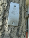 پلاك كوبي مرحله دوم درختان شهر اروميه با استفاده از سيستم اطلاعات جغرافيايي GIS و نقشه برداري و ثبت موقعيت توسط دستگاه Gps