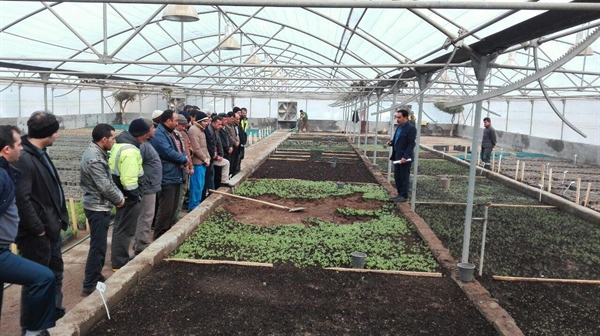 برگزاري کلاسهاي آموزش گل و گياه درواحد تولیدات سازمان پارکها وفضای سبز شهرداری ارومیه