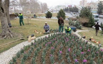 آغاز عملیات کاشت بیش از 3میلیون بوته گلهای فصلی ودایمی درسطح شهر برای استقبال ازسال جدید