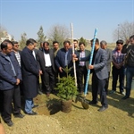 مراسم درختکاری همزمان با سومین جشنواره  روز پاکبان با هدف ترویج فرهنگ حفظ و گسترش فضای سبز 