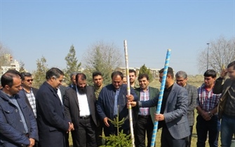 مراسم درختکاری همزمان با سومین جشنواره  روز پاکبان با هدف ترویج فرهنگ حفظ و گسترش فضای سبز 