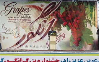 دومین جشنواره انگور در ارومیه برگزار شد