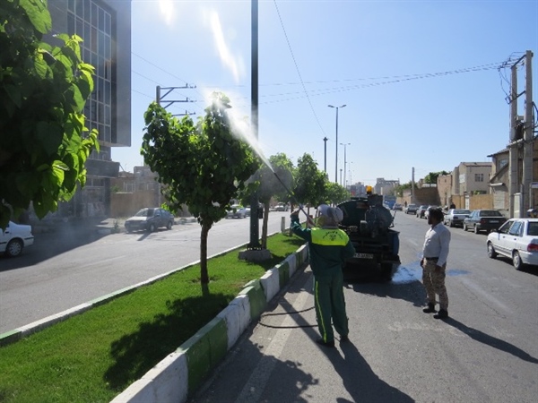 آغازعملیات شستشوی درختان  سطح شهر