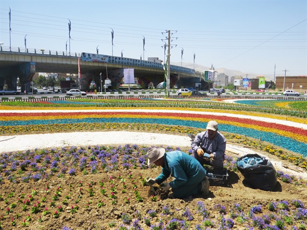 عملیات کاشت فازدوم گلکاری توسط سازمان پارکها وفضای سبز شهرداری ارومیه در سطح شهر آغاز شد.