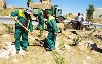 کاشت  درختان مقاوم  به  کم آبی  درفشار قوی  دانشگر بعداز اتمام لوله گذاری آبیاری قطر ه ای