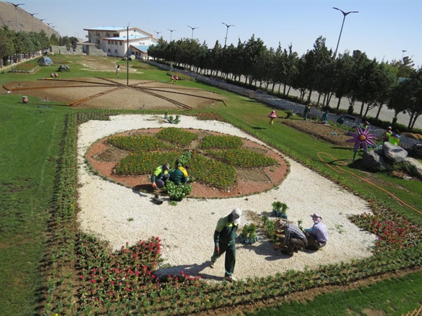 اقدامات سازمان پارک ها و فضای سبز شهرداری ارومیه درپنجمین  جشنواره انگور در دهکده ساحلی چی چست