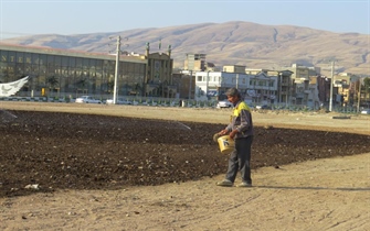 به منظور رونق فضای سبز وایجاد شادابی، سازمان اقدام به توسعه فضای سبز پارک دانشجو به مساحت 17000مترمربع نمود