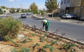 کاشت درختان ودرختچه های مقاوم به کم آبی دربلوارها ومیادین سطح شهر