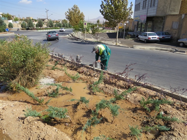 کاشت درختان ودرختچه های مقاوم به کم آبی دربلوارها ومیادین سطح شهر