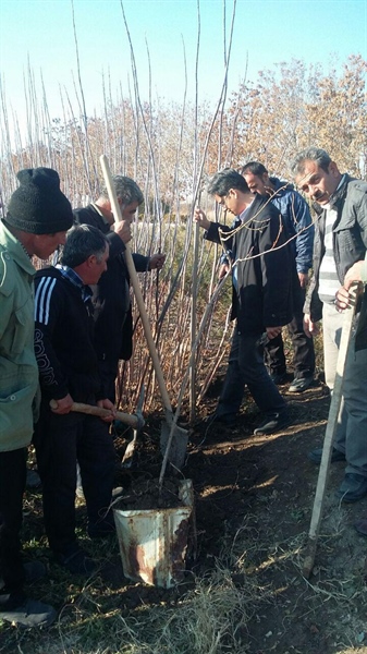 برگزاری دوره آموزشی درختکاری با هدف  ارتقاء سطح آگاهی نیروهای اجرایی فضای سبز