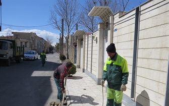 کاشت رایگان نهال توسط سازمان مقابل منازل با درخواست شهروندان