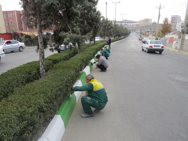 اقدام جهادی شستشو و رنگ آمیزی  جداول و ساماندهی سیستم های روشنایی در سطح شهر توسط سازمان