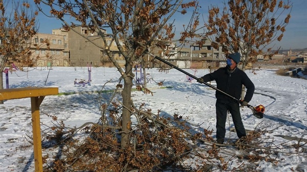 تداوم عملیات هرس زمستانه درختان و درختچه‌ ها در سطح شهر بطور گسترده