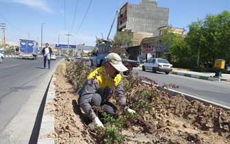 کاهش کاشت چمن در فضای سبز ارومیه بدلیل مصرف بالای آب