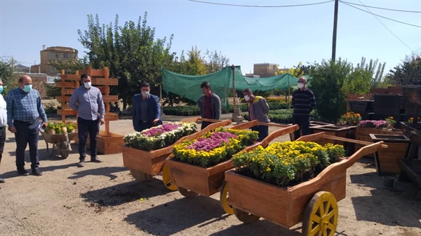 گلکاری گلدان های چوبی ساخته شده در کارگاه نجاری سازمان سیما، منظر و فضای سبز شهری شهرداری ارومیه