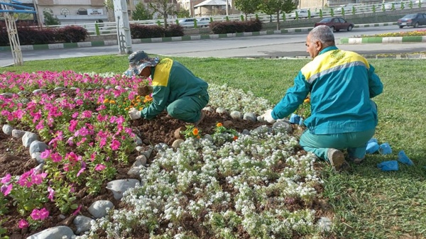 تداوم کاشت گل در بوستان های شهری ارومیه