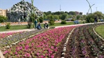 🌸 دهمین جشنواره گل ارومیه در گوللر باغی برگزار می گردد .