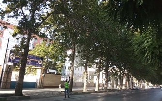 سمپاشی درختان معابر و خیابانهای اصلی و فرعی در مناطق ۵ گانه شهری همچنان تداوم دارد