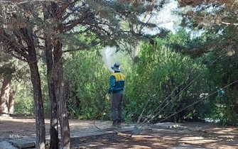 اجرای عملیات محلول پاشی درختان پارک جنگلی