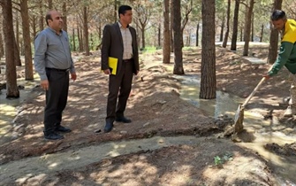 بازدید میدانی  رئیس سازمان از روند آبیاری درختان پارک جنگلی