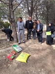 اجرای عملیات چالکود درختان پارک جنگلی