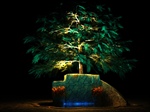 خطرات نور مصنوعی برای درختان و گیاهان  (مقاله)