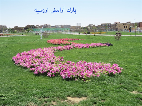 عمليات انجام شده توسط سازمان پارك ها و فضاي سبز شهرداري در شش ماهه اول سال 94 در سطح منطقه چهار 